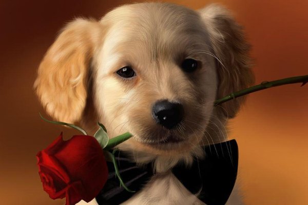 盛筳必散是什么动物