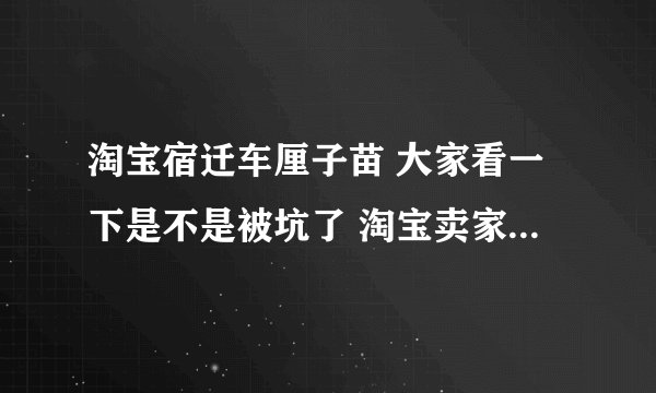 淘宝宿迁车厘子苗 大家看一下是不是被坑了 淘宝卖家跑路了？