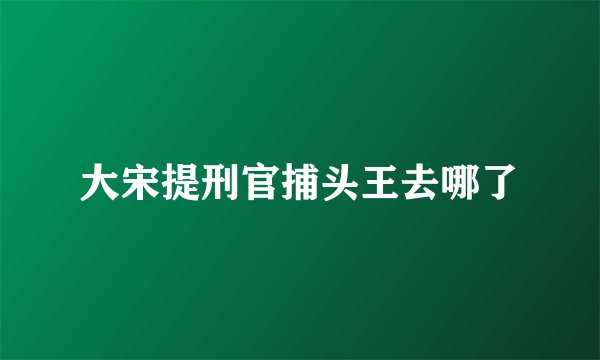 大宋提刑官捕头王去哪了