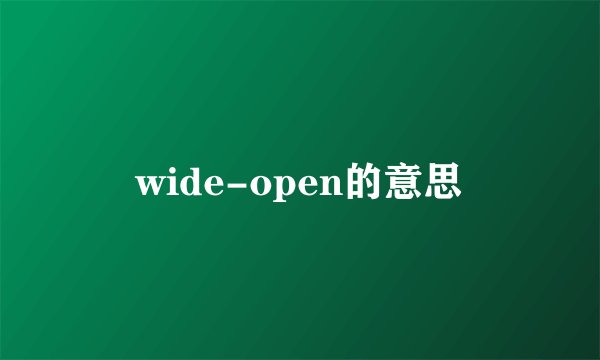 wide-open的意思