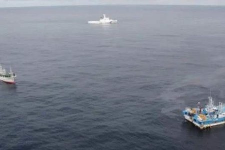 你对韩国公务员疑遭朝军火化怎么看？