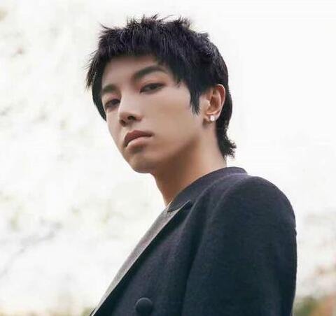 华晨宇大伯被曝贪污近2亿，这是真的吗？