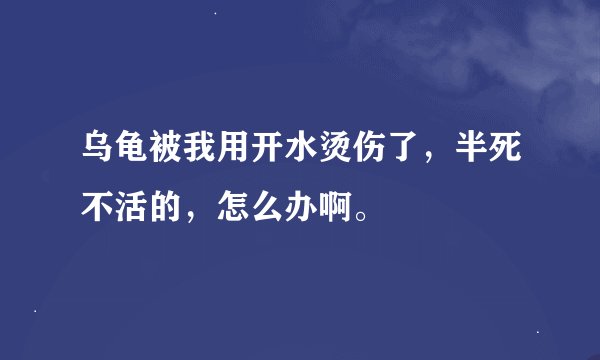 乌龟被我用开水烫伤了，半死不活的，怎么办啊。
