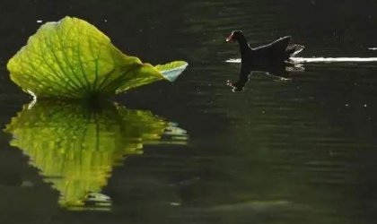 2020年哪天出梅雨季节