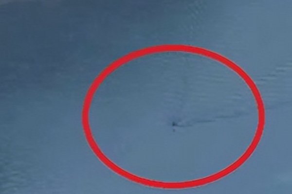 10大最吓人的水怪