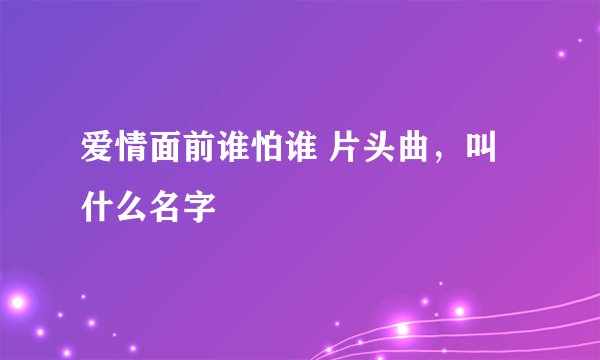 爱情面前谁怕谁 片头曲，叫什么名字