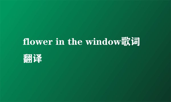 flower in the window歌词翻译