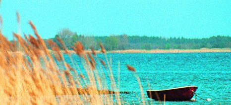 一条大河的歌词。我想知道全部的。尤其是后面的。