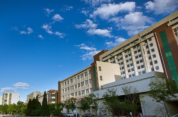 成安中学片区划分2023