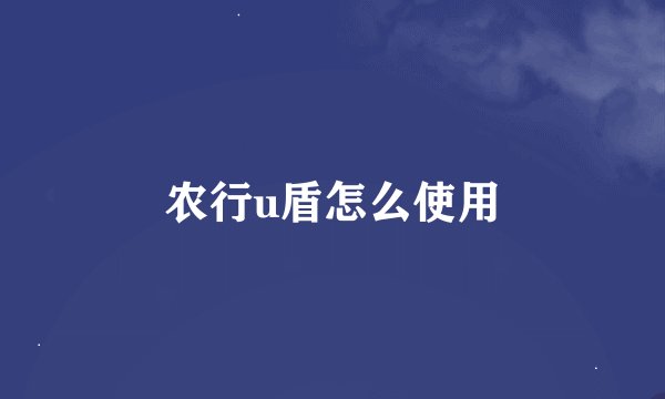 农行u盾怎么使用