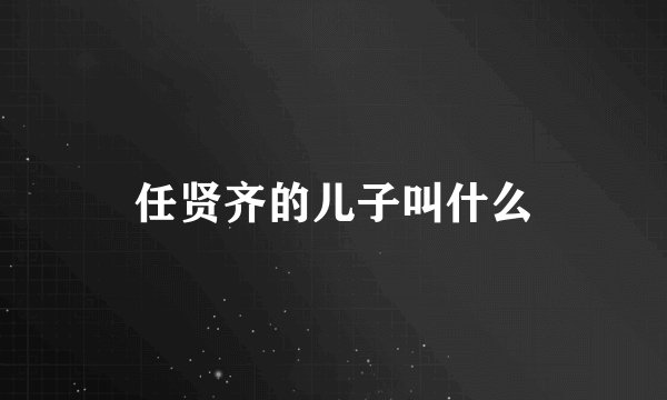 任贤齐的儿子叫什么