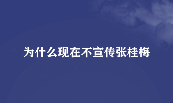为什么现在不宣传张桂梅