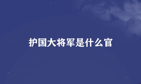 护国大将军是什么官