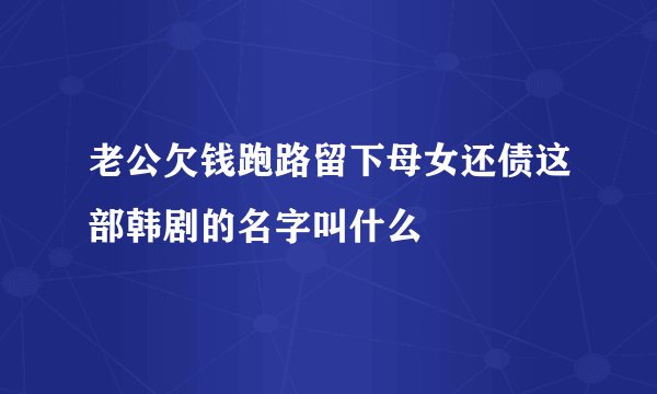 老公欠钱跑路留下母女还债这部韩剧的名字叫什么
