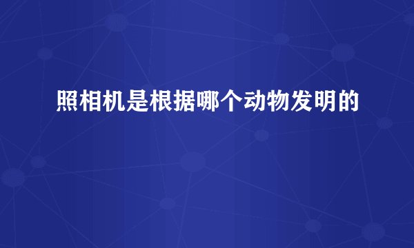 照相机是根据哪个动物发明的