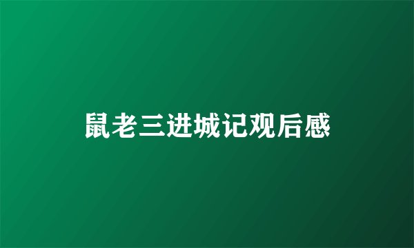 鼠老三进城记观后感