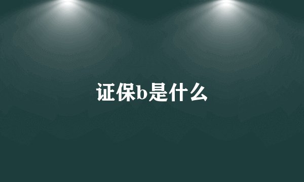 证保b是什么
