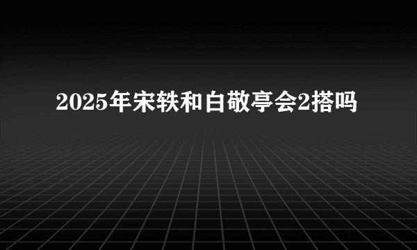 2025年宋轶和白敬亭会2搭吗