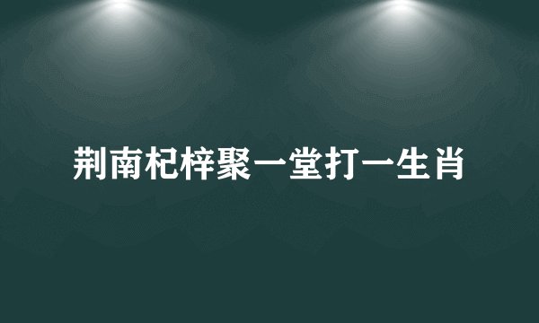 荆南杞梓聚一堂打一生肖
