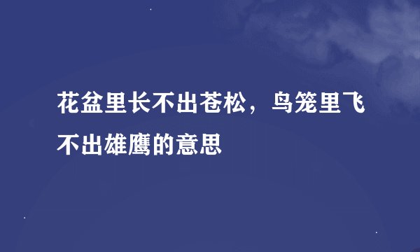 花盆里长不出苍松，鸟笼里飞不出雄鹰的意思