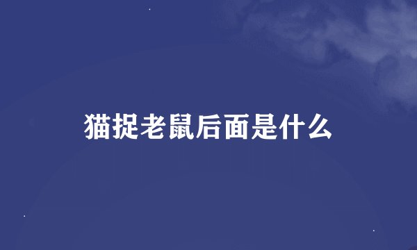 猫捉老鼠后面是什么