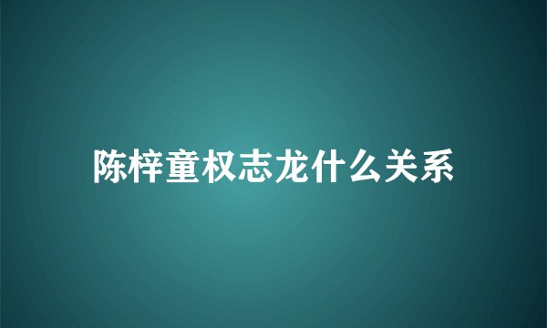 陈梓童权志龙什么关系