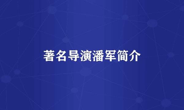 著名导演潘军简介