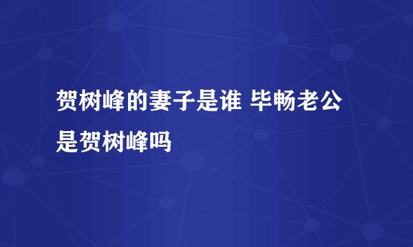 贺树峰的妻子是谁 毕畅老公是贺树峰吗