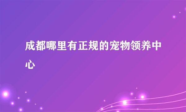 成都哪里有正规的宠物领养中心