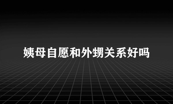 姨母自愿和外甥关系好吗