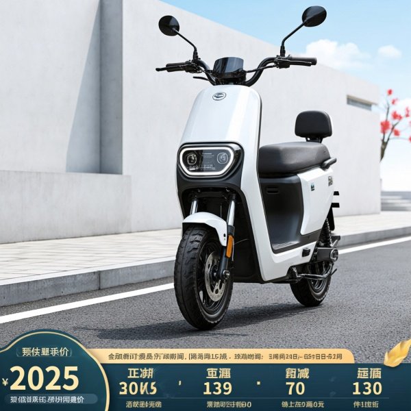 台铃冒险家多少钱2025款
