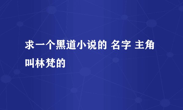 求一个黑道小说的 名字 主角叫林梵的
