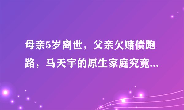 母亲5岁离世，父亲欠赌债跑路，马天宇的原生家庭究竟有多苦？