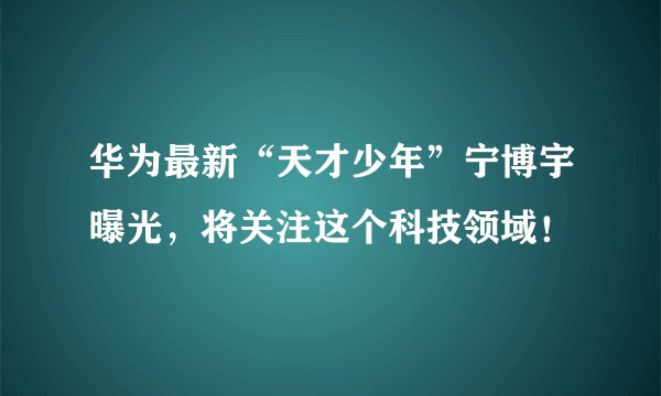华为最新“天才少年”宁博宇曝光，将关注这个科技领域！