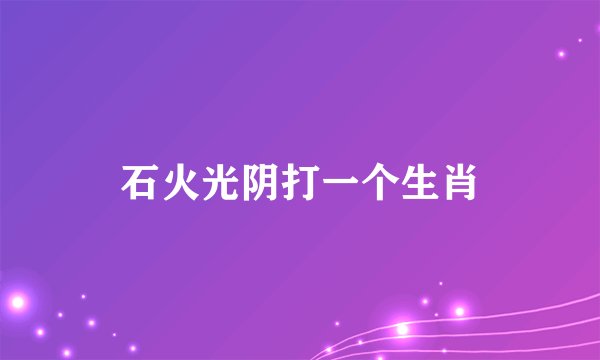 石火光阴打一个生肖