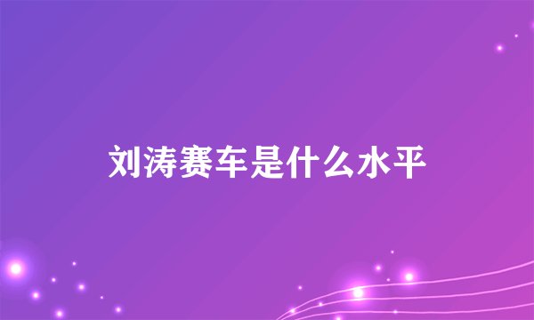 刘涛赛车是什么水平