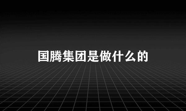 国腾集团是做什么的