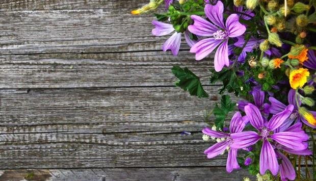 母亲节的意义远不止夸夸妈妈