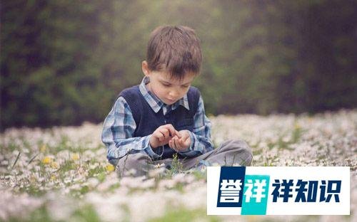虎宝宝男孩取名大全2022款：男孩有抱负有出息的名字