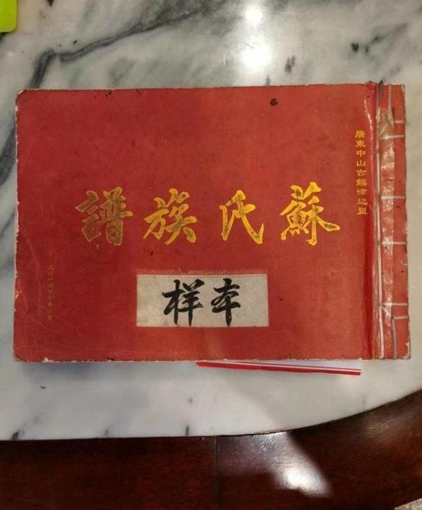 苏氏祖祠负责人称根据族谱苏炳添确系苏轼29代孙 专家：尚待考证