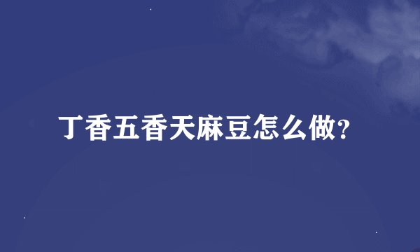 丁香五香天麻豆怎么做？