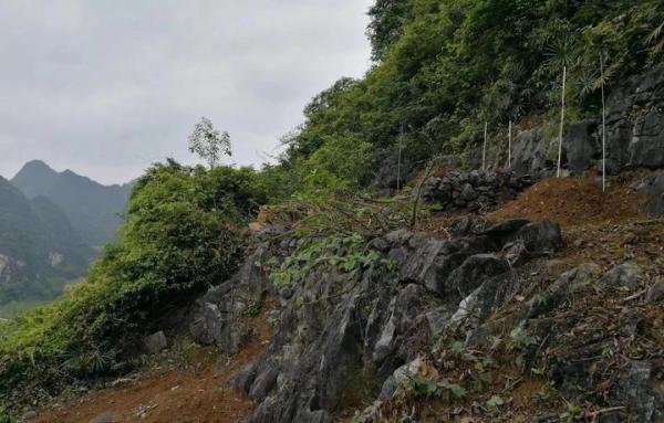 你如何看待村民葬后遗体被抢 镇长：违规土葬？