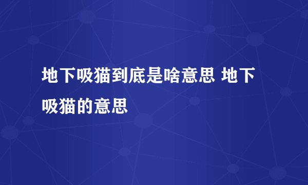 地下吸猫到底是啥意思 地下吸猫的意思