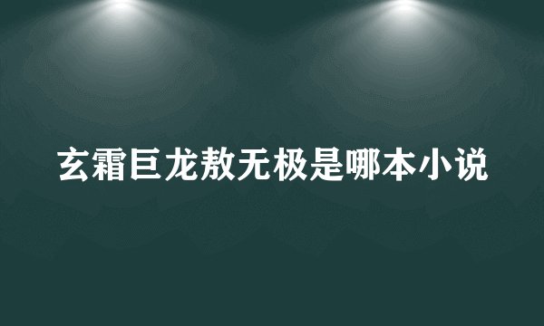 玄霜巨龙敖无极是哪本小说