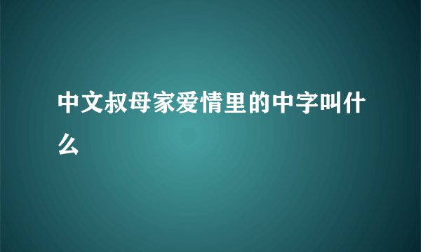 中文叔母家爱情里的中字叫什么