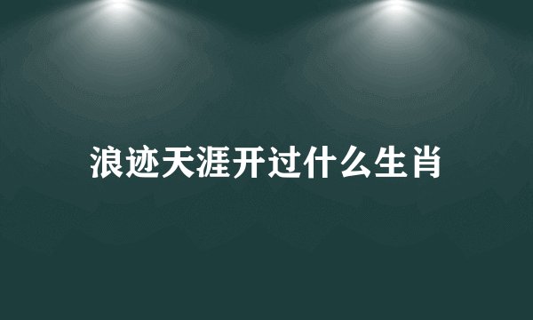 浪迹天涯开过什么生肖
