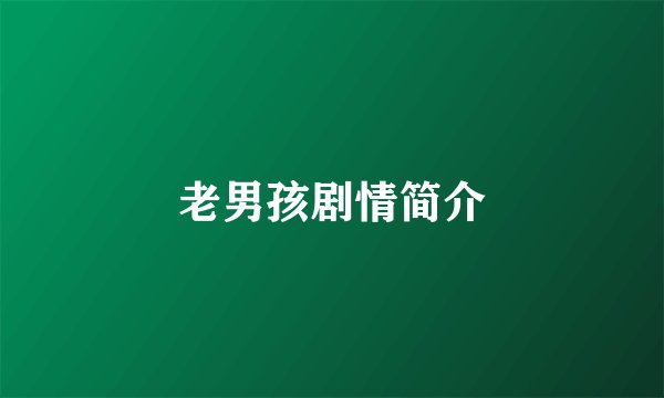 老男孩剧情简介