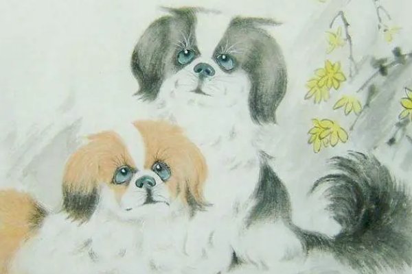 明明白白打一生肖动物