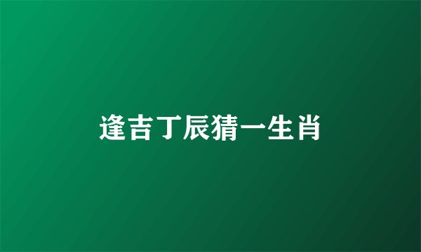 逢吉丁辰猜一生肖