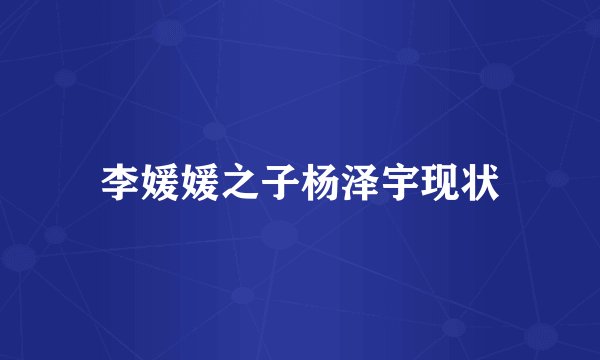 李媛媛之子杨泽宇现状